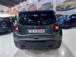 جيب رينيجيد